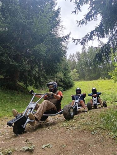 Image for: MOUNTAIN CART